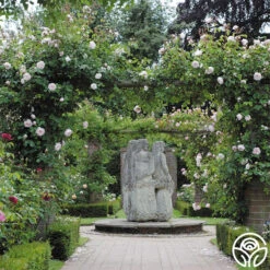 The Generous Gardener™ -Lovely Rose Shop The Generous Gardener 256