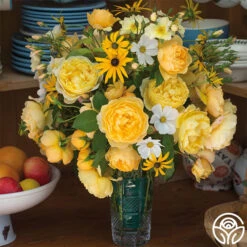 Charles Darwin® -Lovely Rose Shop charles darwin 4 5