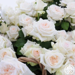 Free & Loyal -Lovely Rose Shop free loyal 1 5