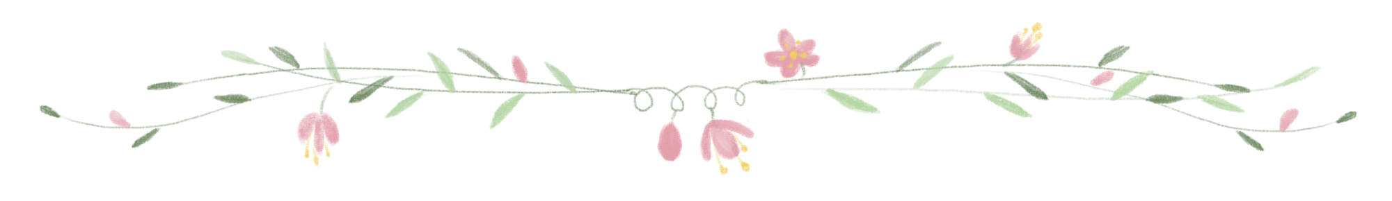 Heirloom Roses -Lovely Rose Shop —Pngtree—cartoon flower dividing line illustration 4576206 e1763966266200